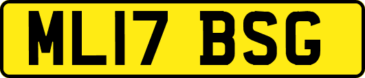 ML17BSG