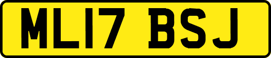 ML17BSJ