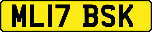 ML17BSK