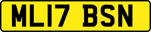 ML17BSN