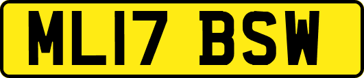 ML17BSW