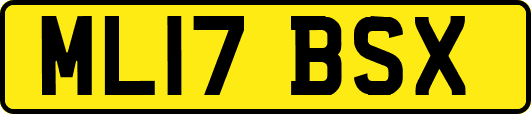 ML17BSX