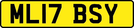 ML17BSY