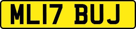 ML17BUJ