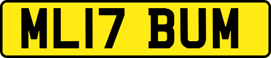 ML17BUM