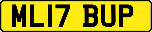 ML17BUP