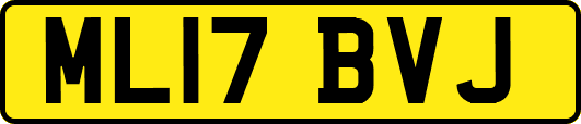 ML17BVJ