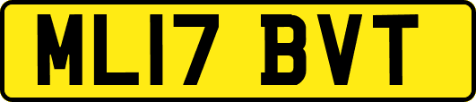 ML17BVT