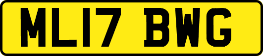 ML17BWG