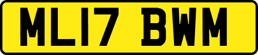 ML17BWM