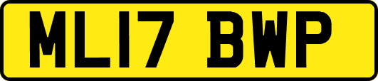 ML17BWP