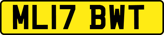 ML17BWT