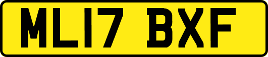 ML17BXF