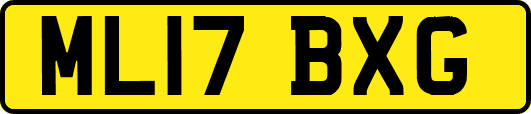 ML17BXG
