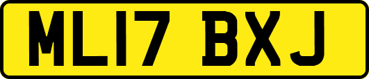 ML17BXJ
