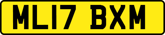 ML17BXM