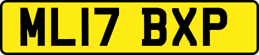 ML17BXP