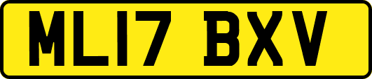 ML17BXV