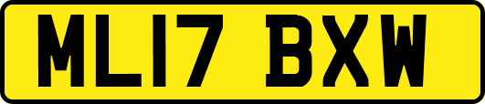 ML17BXW