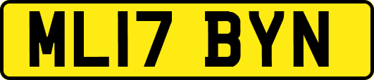 ML17BYN