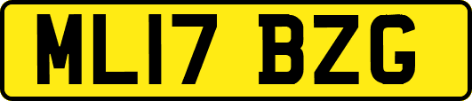 ML17BZG