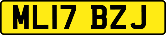 ML17BZJ