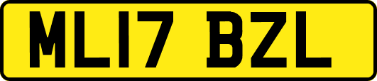 ML17BZL
