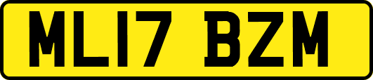 ML17BZM