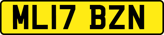 ML17BZN