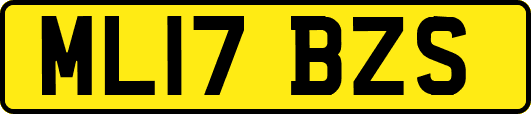 ML17BZS