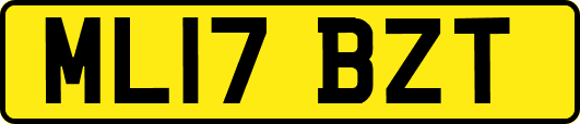 ML17BZT