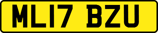 ML17BZU