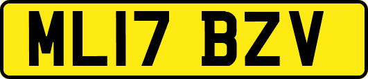 ML17BZV