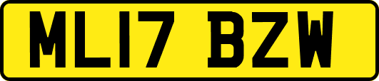 ML17BZW