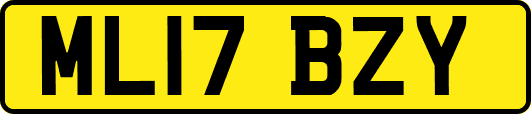 ML17BZY