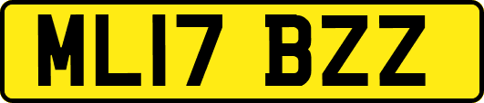 ML17BZZ