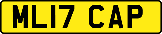 ML17CAP