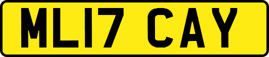 ML17CAY