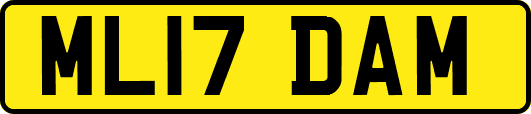 ML17DAM