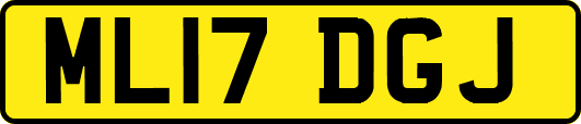 ML17DGJ