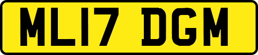 ML17DGM