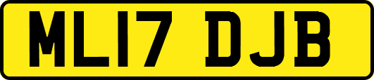 ML17DJB