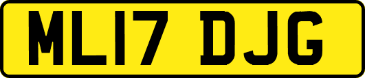 ML17DJG