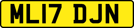 ML17DJN
