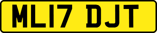 ML17DJT