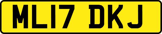 ML17DKJ