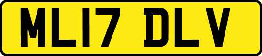 ML17DLV