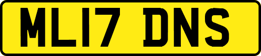 ML17DNS