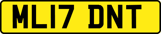ML17DNT