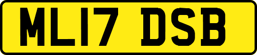 ML17DSB
